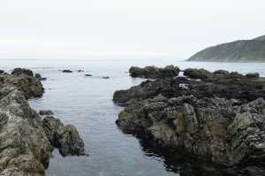 OWHIRO-BAY (16)